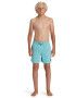 QUIKSILVER Pantaloni scurti de baie cu snur in talie Everyday - Pled.ro