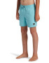 QUIKSILVER Pantaloni scurti de baie cu snur in talie Everyday - Pled.ro