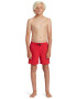 QUIKSILVER Pantaloni scurti de baie cu snur in talie Everyday - Pled.ro