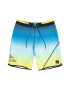 QUIKSILVER Pantaloni scurti pentru inot Surfsilk - Pled.ro