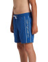 QUIKSILVER Pantaloni scurti pentru volei cu logo Everyday - Pled.ro