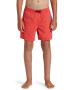 QUIKSILVER Pantaloni scurti pentru volei cu logo Everyday - Pled.ro