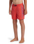 QUIKSILVER Pantaloni scurti pentru volei cu logo Everyday - Pled.ro