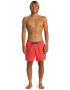 QUIKSILVER Pantaloni scurti pentru volei Everyday Vert - Pled.ro