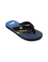 QUIKSILVER Papuci flip-flop cu aplicatie logo Molokai - Pled.ro