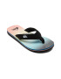 QUIKSILVER Papuci flip-flop cu aplicatie logo Molokai - Pled.ro