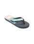 QUIKSILVER Papuci flip-flop cu logo Molokai - Pled.ro