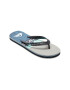 QUIKSILVER Papuci flip-flop cu logo Molokai - Pled.ro