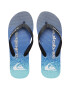 QUIKSILVER Papuci flip-flop cu logo Molokai - Pled.ro