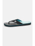 QUIKSILVER Papuci flip-flop cu logo Molokai - Pled.ro