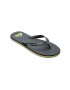 QUIKSILVER Papuci flip-flop cu logo Molokai - Pled.ro