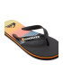 QUIKSILVER Papuci flip-flop Molokai Art - Pled.ro