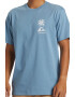 QUIKSILVER Tricou de bumbac organic cu imprimeu grafic - Pled.ro