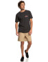 QUIKSILVER Tricou de bumbac organic Pastimeparadise - Pled.ro