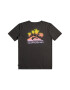 QUIKSILVER Tricou de bumbac organic Pastimeparadise - Pled.ro