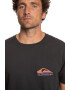 QUIKSILVER Tricou de bumbac organic Pastimeparadise - Pled.ro