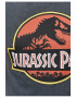 Recovered Tricou cu imprimeu logo Jurassic Park 3299 - Pled.ro