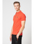 Replay Tricou polo din pique cu aplicatie discreta cu logo - Pled.ro