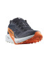 Salomon Pantofi pentru alergare Sense Ride 5 Goretex Trail - Pled.ro