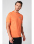 Scotch & Soda Tricou din bumbac organic cu imprimeu loo - Pled.ro