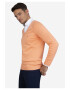 Sir Raymond Tailor Pulover cu decolteu in V si maneci raglan - Pled.ro