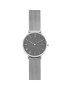 Skagen Ceas cu doua indicatoare si bratara cu model plasa Hald - Pled.ro