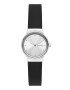 Skagen Ceas cu o curea de piele - Pled.ro