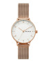 Skagen Ceas quartz din otel inoxidabil - Pled.ro