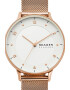 Skagen Ceas quartz din otel inoxidabil - Pled.ro