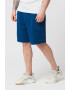 SUPERDRY Pantaloni scurti cu logo brodat Essential - Pled.ro