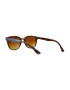 THEICONIC Ochelari de soare Wayfarer Passenger X Maro Degrade Maro Leopard - Pled.ro