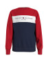 Tommy Hilfiger Bluza sport cu model colorblock si logo - Pled.ro