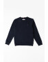 Tommy Hilfiger Bluza sport din amestec de bumbac organic cu logo brodat - Pled.ro