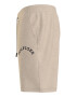 Tommy Hilfiger Pantaloni scurti din amestec de bumbac organic cu logo - Pled.ro