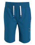 Tommy Hilfiger Pantaloni scurti din amestec de bumbac organic Essential - Pled.ro