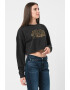 Tommy Jeans Bluza sport crop Varsity - Pled.ro