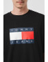 Tommy Jeans Tricou supradimensionat Skate Flag - Pled.ro