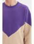 Trendyol Bluza de trening colorblock cu decolteu rotund - Pled.ro