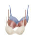 Trendyol Set de sutiene push-up - 3 piese - Pled.ro