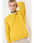 U.S. Polo Assn. Bluza de trening din bumbac cu maneci raglan - Pled.ro