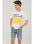 UCLA Tricou cu imprimeu logo Norvato - Pled.ro