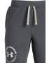 Under Armour Bermude scurte cu model logo Rival - Pled.ro