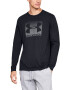 Under Armour Bluza cu logo - Pled.ro