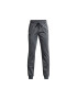 Under Armour Pantaloni de trening Baieti 302916702 Poliester - Pled.ro