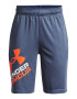 Under Armour Pantaloni scurti cu logo pentru antrenament Prototype 2.0 - Pled.ro