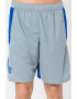 Under Armour Pantaloni scurti pentru antrenament Curry UNDRTD Splash - Pled.ro