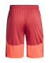 Under Armour Pantaloni scurti pentru fitness Raid 2.0 - Pled.ro