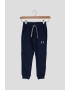 Under Armour Pantaloni sport cu snur in talie - Pled.ro