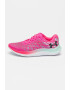 Under Armour Pantofi pentru alergare Flow Velociti Wind 2 Daylight - Pled.ro