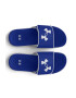 Under Armour Papuci cu logo Ignite Pro - Pled.ro